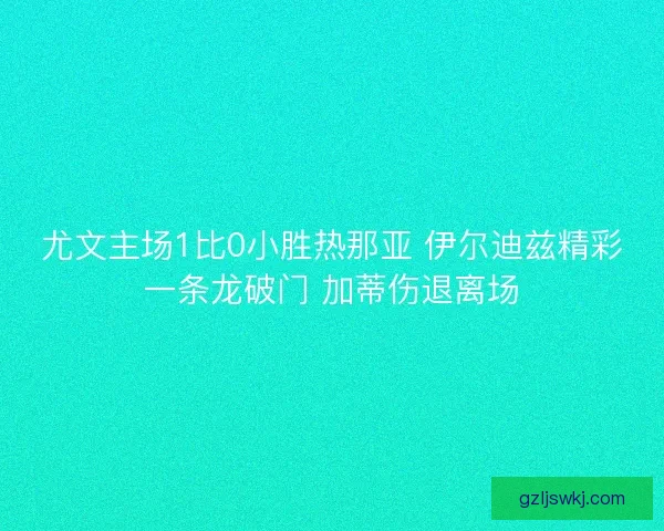 尤文主场1比0小胜热那亚 伊尔迪兹精彩一条龙破门 加蒂伤退离场